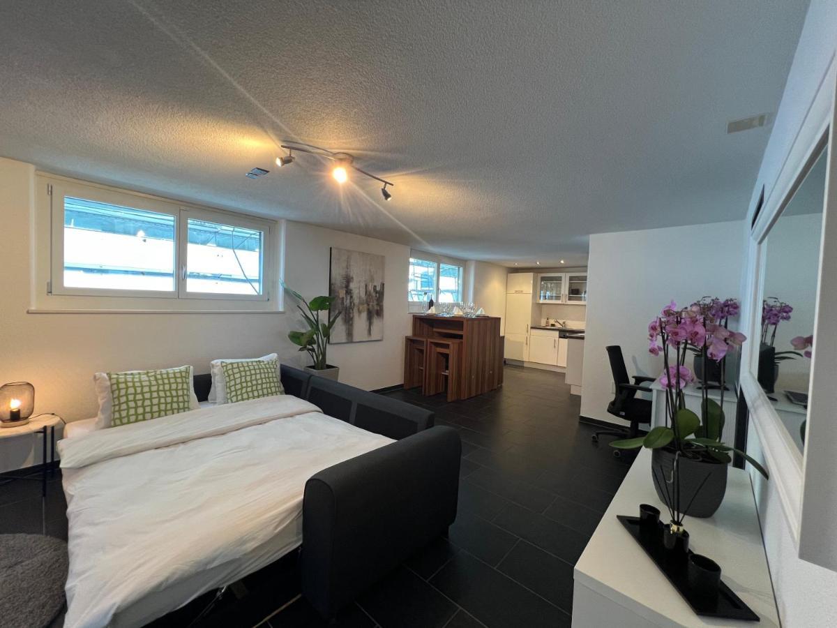 Obergosgen The R Apartment Froburg, Parking, Netflix, Golfplatz מראה חיצוני תמונה